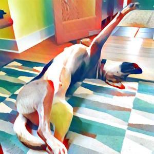 Meet your Posher, Jon